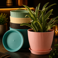 Round Plant Pot with Drainage Tray